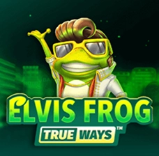 Elvis Frog_JeetCity Casino online slot games – fast and stable performance