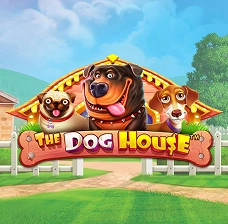The Dog House_JeetCity Casino slot portfolio – diverse games for every style